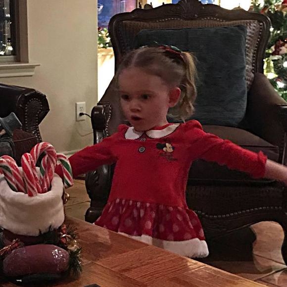 Meet your Posher, Donna - Picture 1 of 1